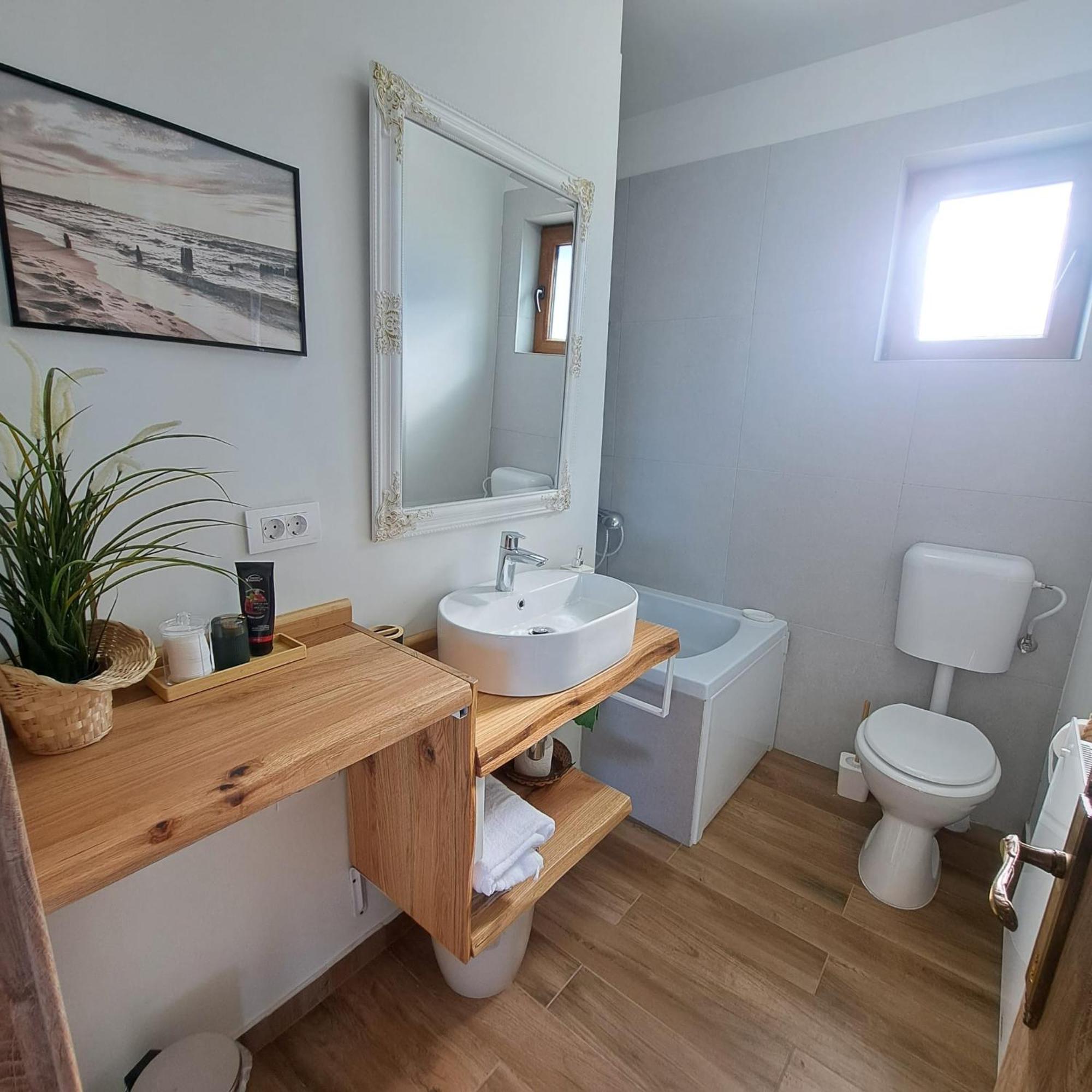 Cozy Living Villa Dealu Negru ภายนอก รูปภาพ